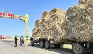 БҚО-ның екі ауданында төтенше жағдай жарияланды