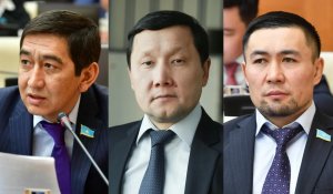 Талғардағы оқиға туралы депутаттардың пікірі қандай?