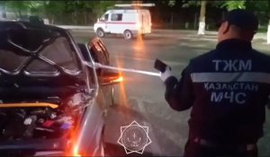 Шымкентте жеңіл көліктің қозғалтқыш бөлігіне жылан кіріп кетті