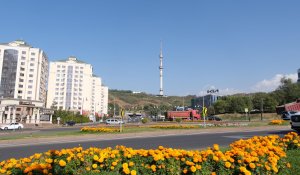 Алматы Орталық Азияның гастрономиялық астанасы ретінде таныстырылды
