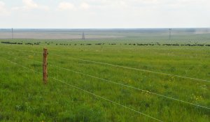Жетісуда шаруа қожалық басшысы 108 үлескердің жерін сатып жіберген