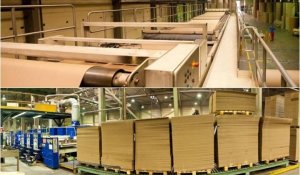 Елімізде картон мен қағаз өндіретін жаңа зауыт салынбақ