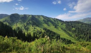 Алматыдағы Ұлттық парктің 49 жылға жалға алынған жері қайтарылды