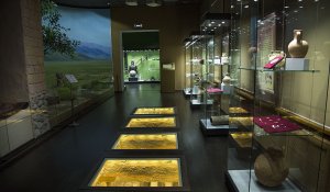 Алматы тарихы музейі «Жыл музейі» атанды