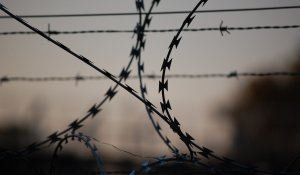 Қазақстанда Конституцияның 30 жылдығына орай сотталғандарға рақымшылық жасалады