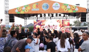 Алматы облысы Ұйғыр ауданында алғашқы Apricot Fest фестивалі өтті