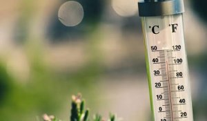 Елімізде 42 градус ыстық болады