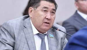 Назарбаев мемлекеттік басқару жүйесінен толықтай шеттетілген – Ермұрат Бапи