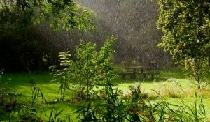 Нөсер, бұршақ және +44°C: Қазақстанда ауа райы қандай болады