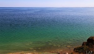 Шардара су қоймасының жағасы қоқысқа толды: демалушылар ашулы