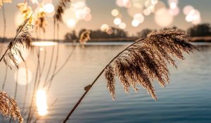 Синоптиктер Астана, Алматы және Шымкент тұрғындарын қуантты