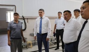 Түркістан: Түлкібас ауданында сүтті терең өңдеу саласы дамып келеді