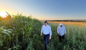Түркістандық шаруа мал азығының жаңа түрін өсіруді қолға алған