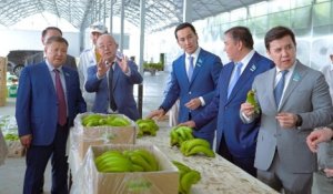 Түркістан өңірінде банан өсіп, балық бапталуда