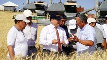 Түркістан: Қазығұрт ауданындағы 100,9 мың га егістіктің 94 мың гектары игерілді