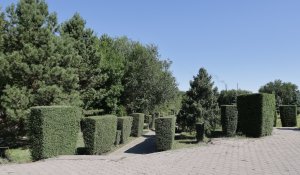Жетісу облысында үш жылда саябақ, сквер, аллея түрінде 18 жасыл аймақ жасалды