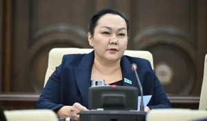 Көпбалалы аналарға қатысты әділетсіз саясатқа қарсымын - экс-депутат
