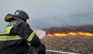 Алматы облысындағы алапат өрттен үш адамның мәйіті табылды