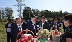 Талғарда дәстүрлі «Бақ күні» өткізілді: әйгілі апорт қайта жанданады