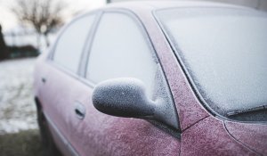 Қазақстанның оңтүстігінде қар жауады