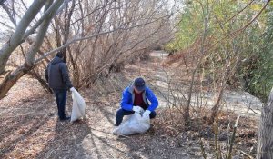 Атырауда экологиялық акция аясында 4 мыңнан аса тал егілді