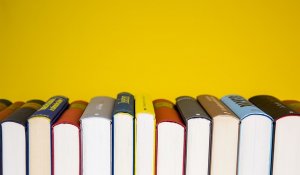 Қазақстанда «Кітапхана ісі, ақпаратты өңдеу және архив ісі» бағдарламасы бойынша грант саны екі есе өсті