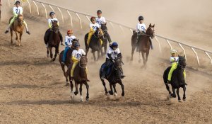 Жетісуда 26 мыңнан астам адам ұлттық спорт түрлерімен айналысады