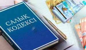 Жаңа Салық кодексі алты айдан кейін қайта қаралуы мүмкін