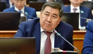 Астанадағы аналардың митингін белгілі бір күштер ұйымдастырған – Бапи