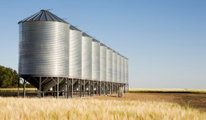 СҚО-да әйел адам астық қоймасына құлап көз жұмды