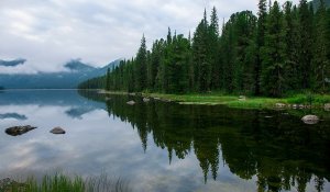 Шығыс Қазақстанда туризм төрт негізгі бағыт бойынша дамып келеді