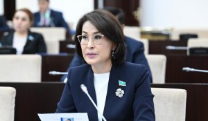 Проблеманы жоққа шығара алмаймыз – Әлназарова МӘМС жүйесі әлі толық ретке келмегенін мойындады