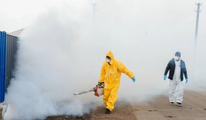 Бейбарыс ауылдық округіндегі кеміргіштерге қатысты жағдай бақылауда