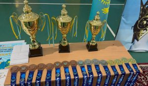 Алматы облысында тоғызқұмалақтан облыстық турнир өтті