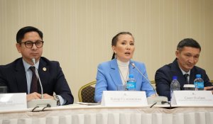 «1,3 миллион адам зардап шегуі мүмкін»: бизнес өкілдері салықтық шегерімдерді шектеуге қарсы шықты