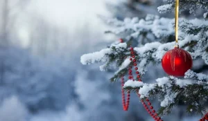 Шырша құру қазақ жеріне қашан келді