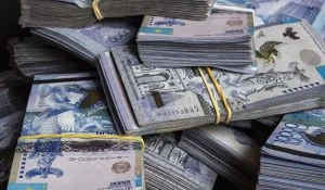 "Бизнеске бөлінген миллиардтар кімнің бақылауында": Депутат дабыл қақты