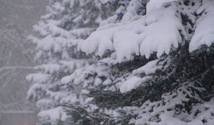 Елімізде –40 градусқа дейін аяз күтіледі