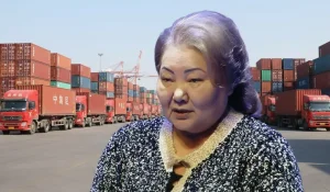 Анипа Назарбаеваның компаниясы мемлекетке қанша салық қарыз