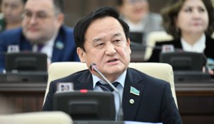 Қазыбек Иса батыл мәлімдеме жасады: Парламентте менен артық қазақ тілі үшін күрескен ешкім жоқ