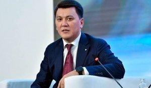 Журналистер мен лингвистер Конституциялық комиссияда не істеп жүр: Ерлан Қарин түсіндірді