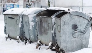 Семейде қоқыс жәшігінен жаңа туған сәбидің мәйіті табылды