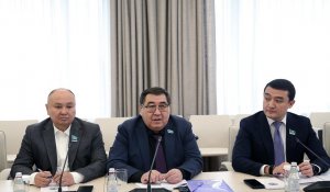 Конституцияға енгізілетін түзетулер Алматы жұртшылығымен өткен кездесуде түсіндірілді