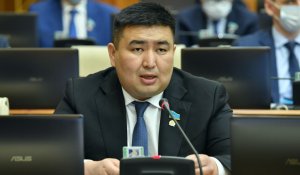 Елнұр Бейсенбаев Президент Әкімшілігінің Ішкі саясат бөлімін басқарады