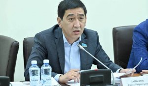 «Мемлекеттік тілмен еш тіл тең емес, қатар ғана»: Ринат Зайыт Ата Заңға енгізілген өзгеріс туралы пікірін білдірді