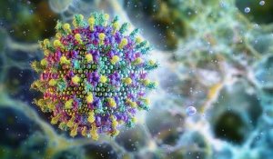 Нипах вирусының таралуына байланысты Қазақстан шекарадағы бақылауды күшейтті