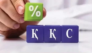 ҚҚС-тан шығу қиындайды: 2026 жылдан бастап бизнесті не күтіп тұр?