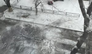 Шымкентте 10 жасар бала құлаған ағаш бұтағының астында қалып қайтыс болды