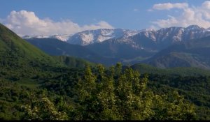 30 жылдық мерейтойға орай 30 бастама: Іле Алатауы ұлттық саябағы 2025 жылы елеулі еңбекпен көзге түсті