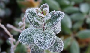 Көктемнің алғашқы күндері күн райы қандай болады?